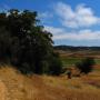 Deer Island Loop Trail as it enters woodlands on the Southern side.